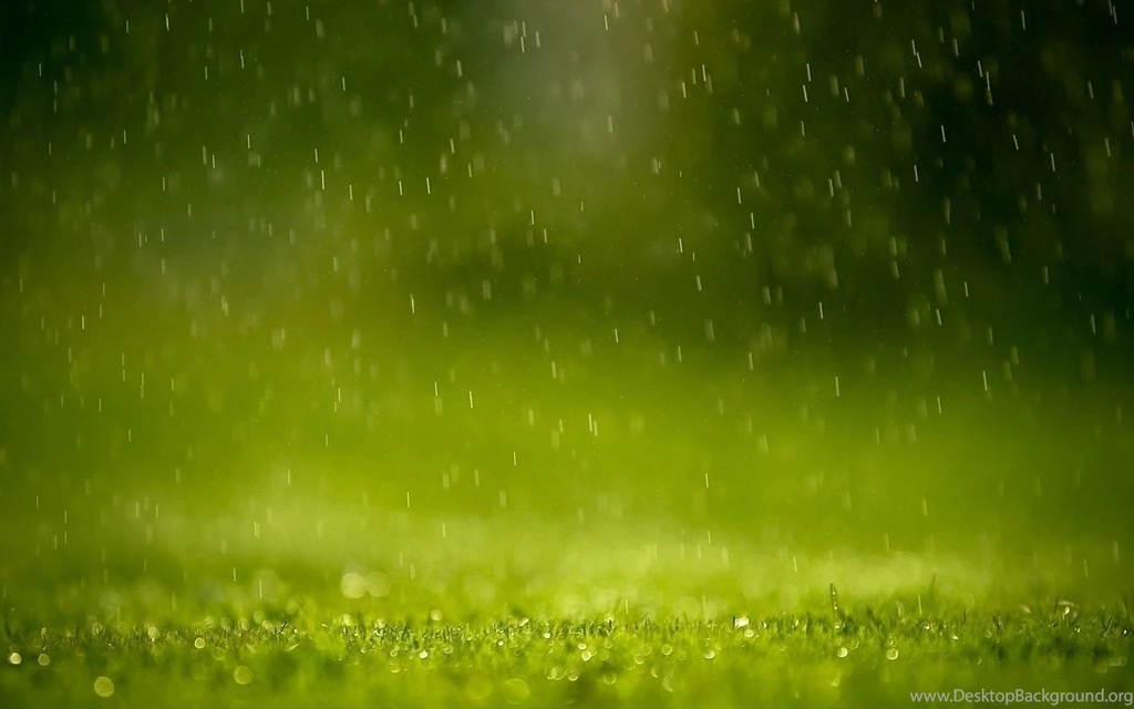 Green Grass Green Wallpapers (22176399) Fanpop