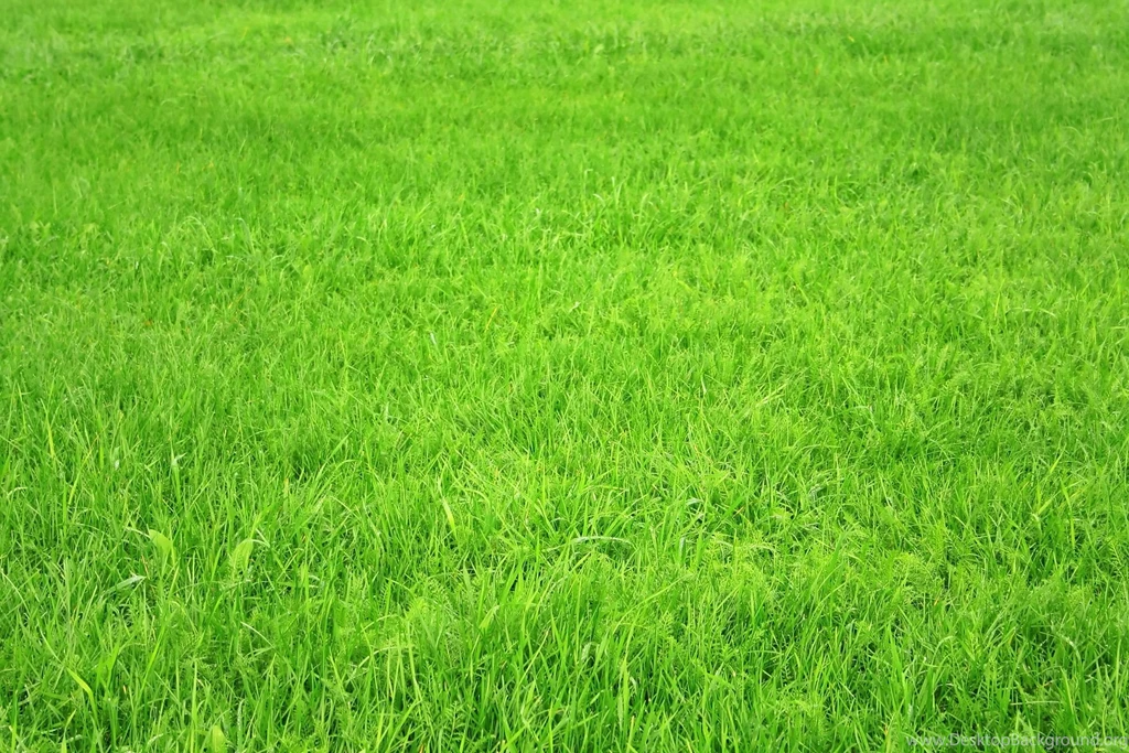 Grass Texture Wallpapers 2015 Grasscloth Wallpapers