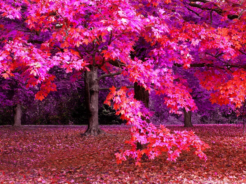 Autumn Fantasy 2007 Wallpapers By Jojomercury On DeviantArt