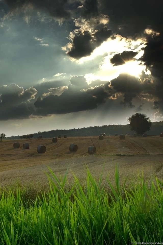 Gallery For Farming Wallpapers For Phones