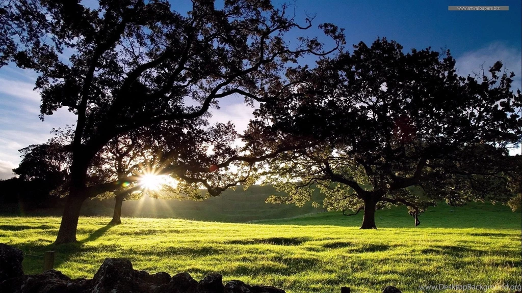 Best 1080p Wallpapers