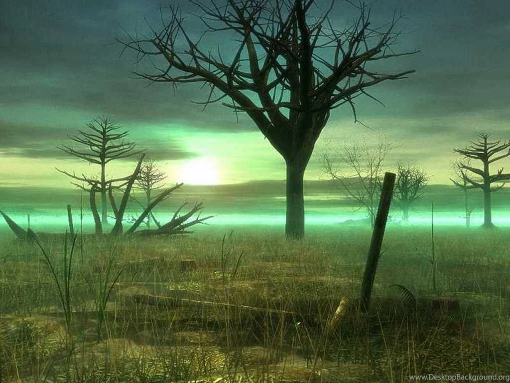 My Free Wallpapers Fantasy Wallpapers : Sick Swamp