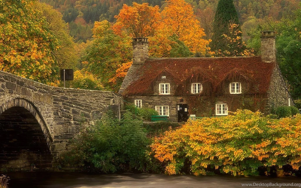Nature Wallpapers Com Wallpapers HD Wide