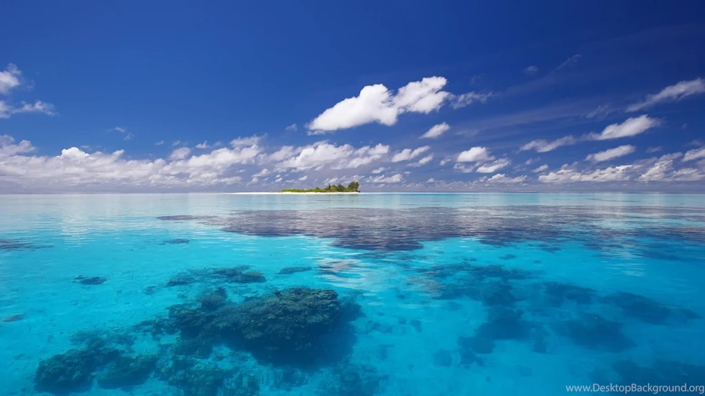 Fresh desktop Wallpapers 1920x1080 HD Widescreen Wallpapers