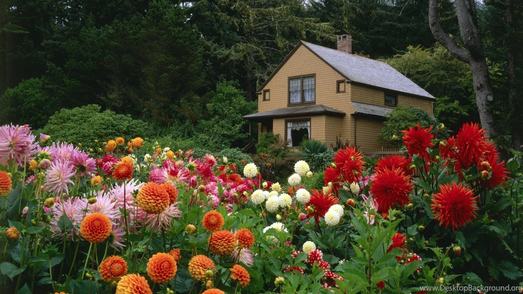Beautiful flower garden wallpapers 41.jpg