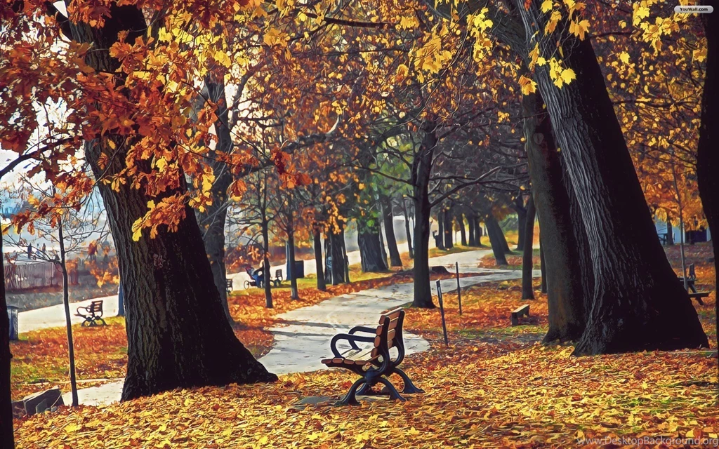 YouWall Autumn Park Wallpapers Wallpaper,wallpapers,free ...