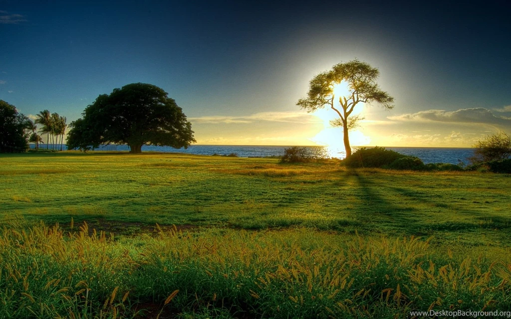 Best Wallpapers STAY015