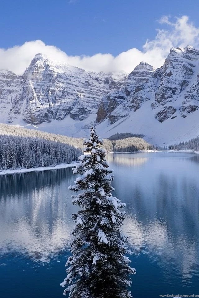 Gallery For Iphone Wallpapers Hd Winter