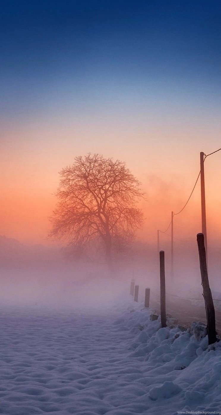 Winter iPhone 5s Wallpapers