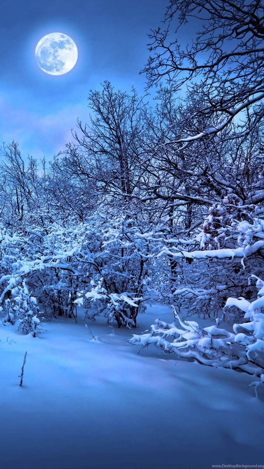 Winter iPhone Wallpapers