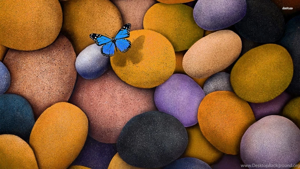 Blue Butterfly On The Pebbles Wallpapers Digital Art Wallpapers ...