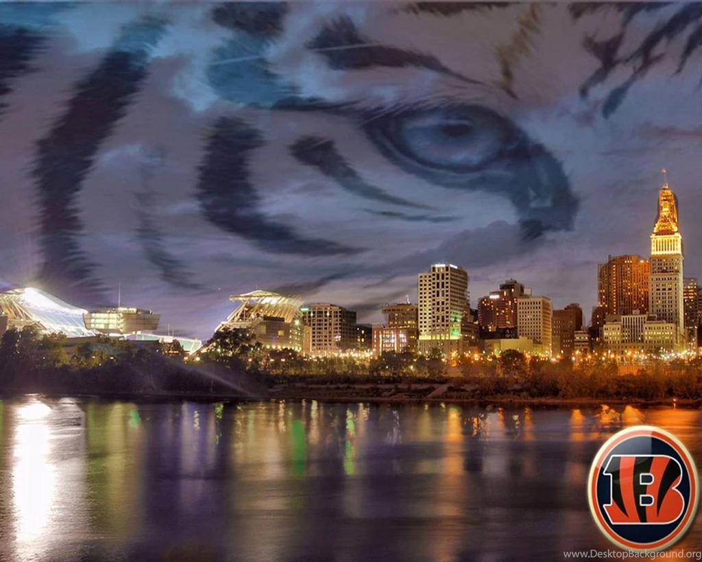 Bengals Wallpapers Wallpapers Cave