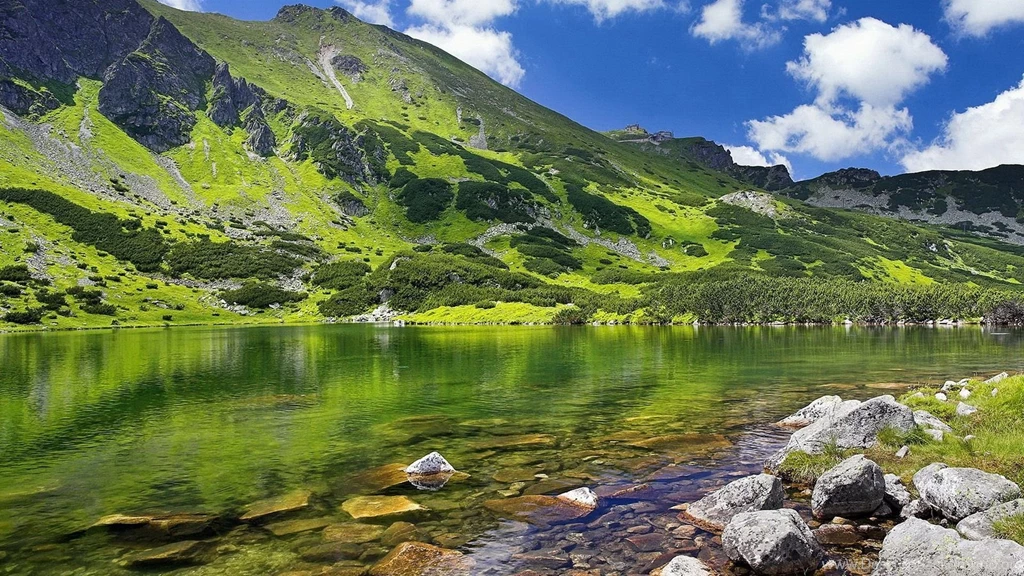 1080P Wallpapers Hd 1372967