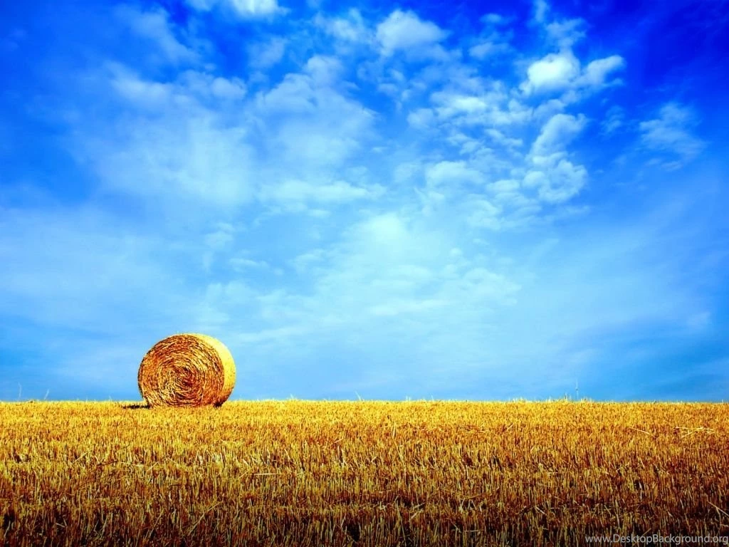Free Screensavers And Wallpapers 7Screensavers.com