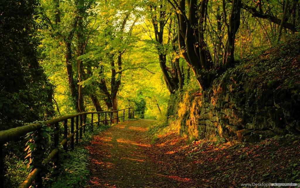 Free HD Nature Wallpapers Background Images