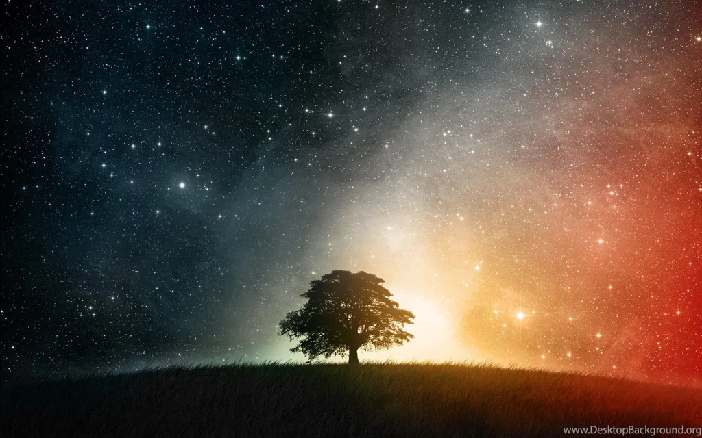 Tree Hill Night Star HD Wallpapers