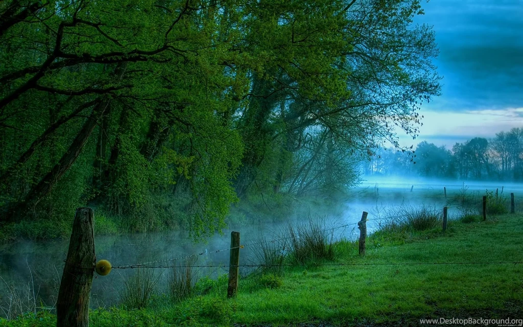 Nature Wallpapers Wallpapers 1920x1200