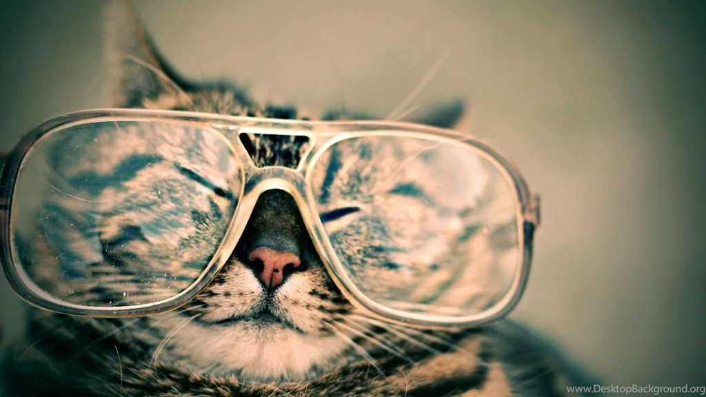 Download Wallpapers 1920x1080 Cat, Face, Glasses, Funny, Striped ...