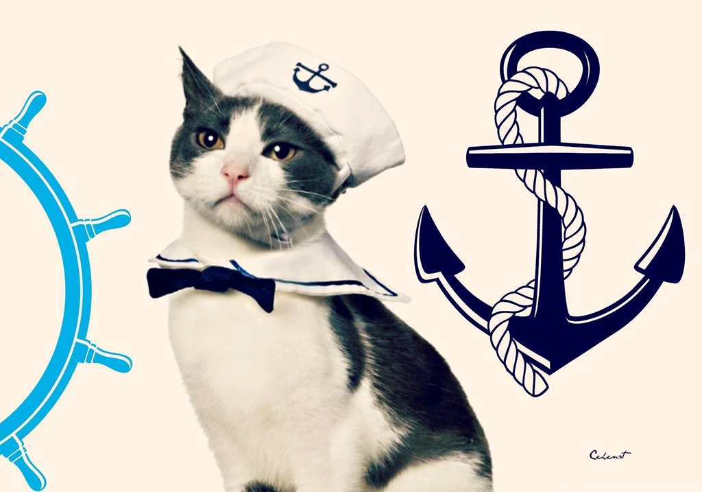 Cats: Sailor Cat Anchor By Cehenot Hat Summer Helm White Blue ...