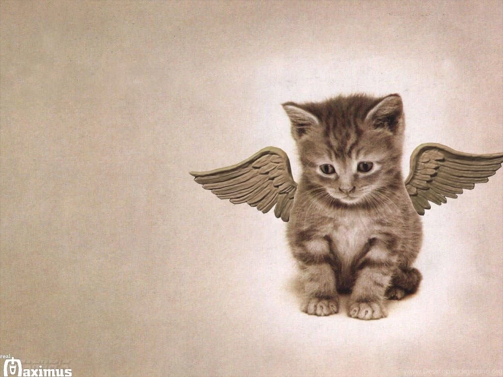 New Wallpaper: Jazz Cats Wallpapers