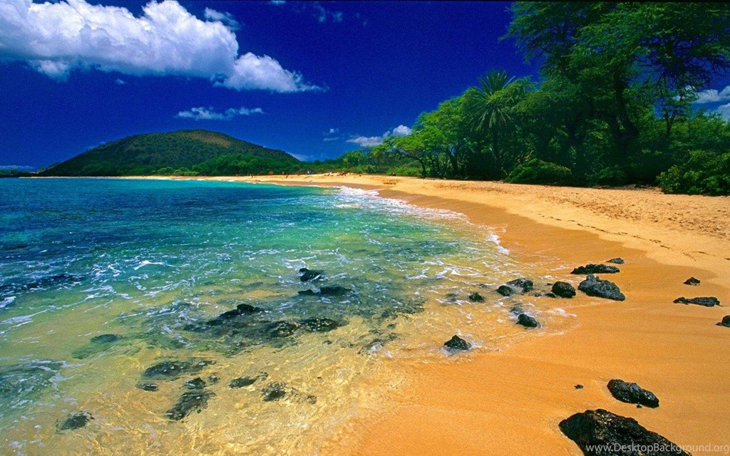 BIG BEACH MAUI HAWAII WALLPAPER (