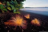 HD 1080p High Definition Widescreen Wallpapers ~ :: App Reviews ...