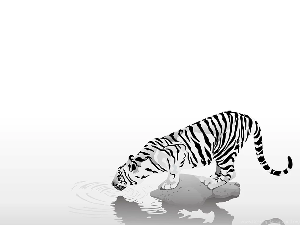 3D Wallpapers Animals Sorğusuna Uyğun şekilleri Pulsuz Yükle ...