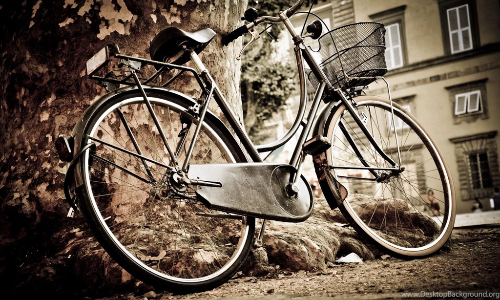 Old Bicycle On The Tree Wallpaper Backgrounds