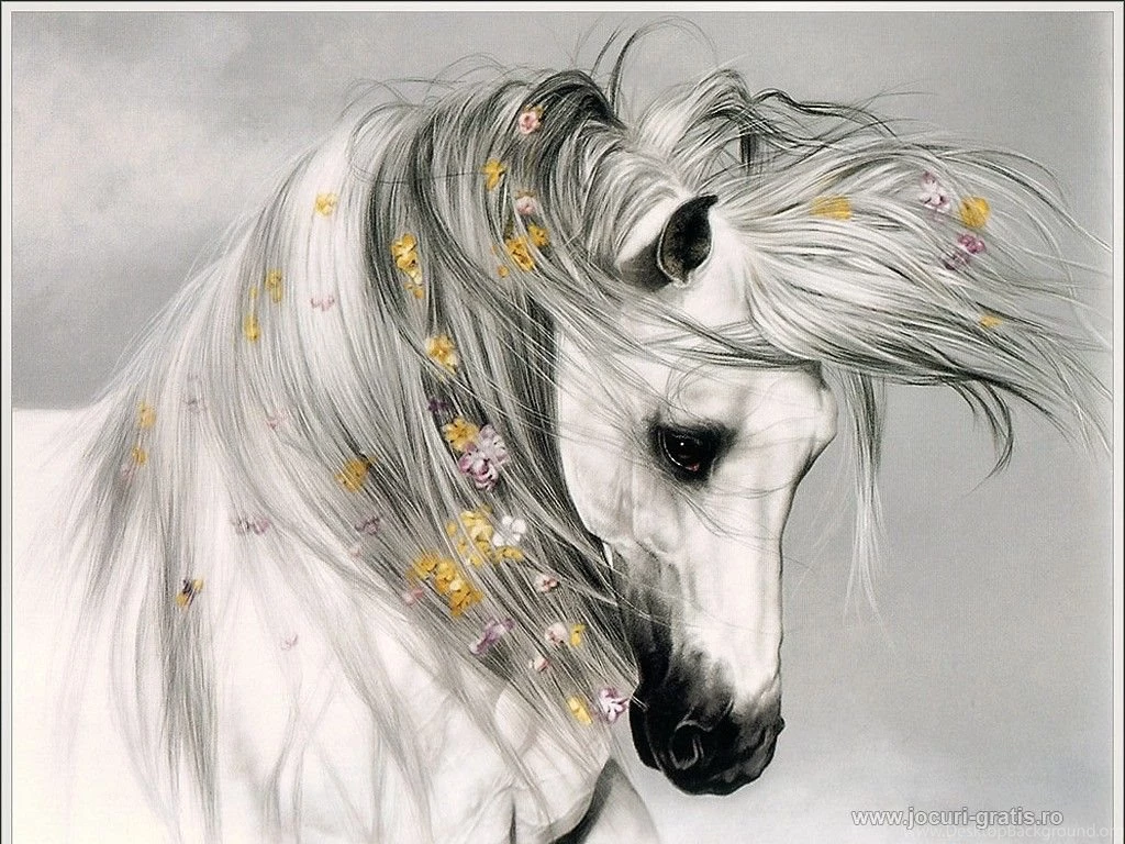 Abstract Horses Pictures Photos Hd Wallpapers