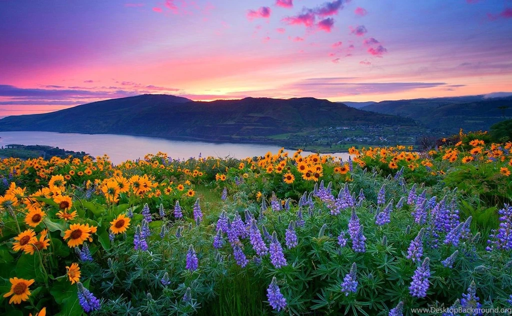 Nature Backgrounds, Amazing Landscape, Wallpapers Of Nature ...