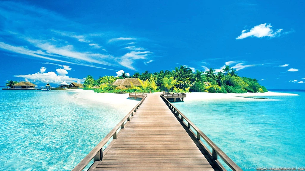 Free Summer Wallpapers 2560 1440 High Definition Wallpapers