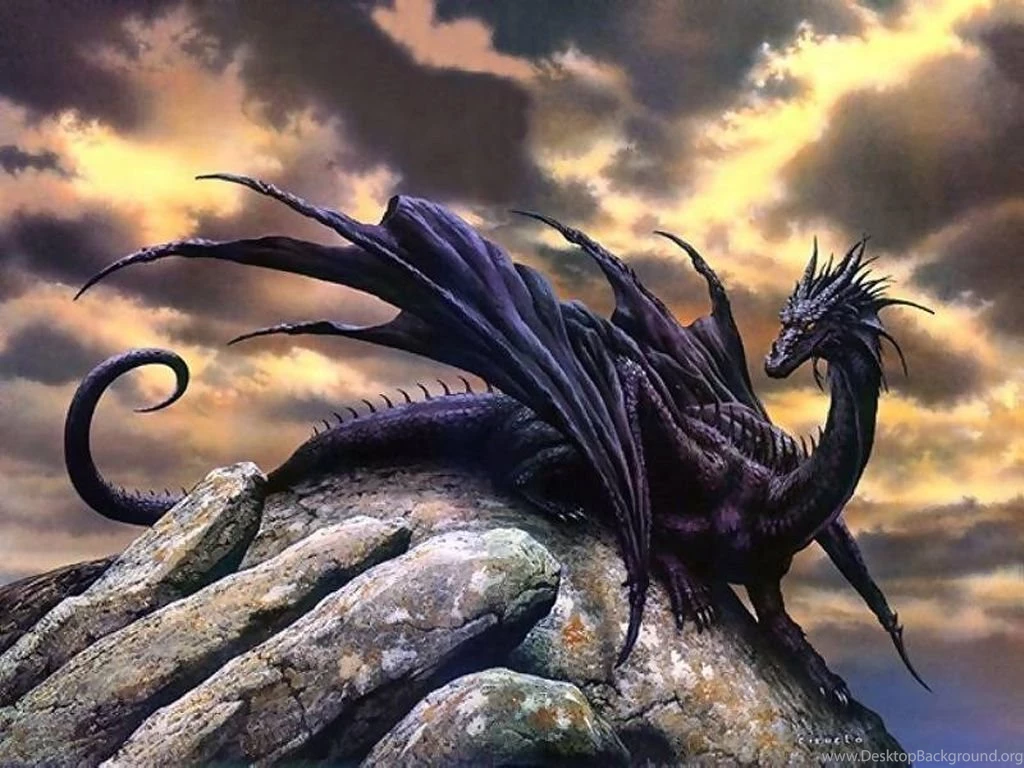 1597 Dragon HD Wallpapers