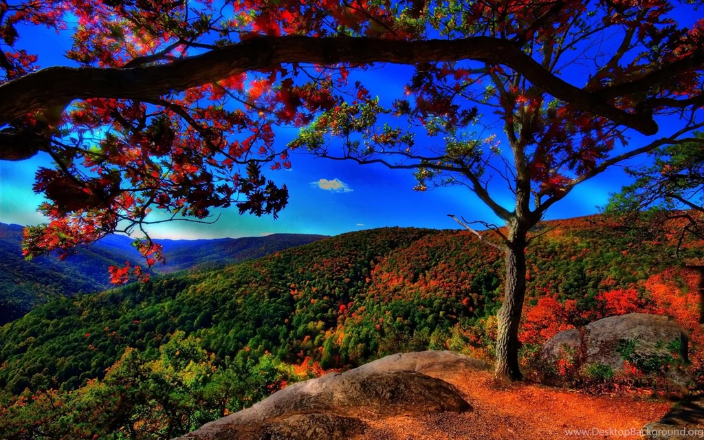 Autumn Landscape Wallpaper 1.jpg