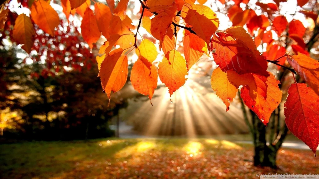 Download Autumn Landscape 5 Wallpapers 1920x1080