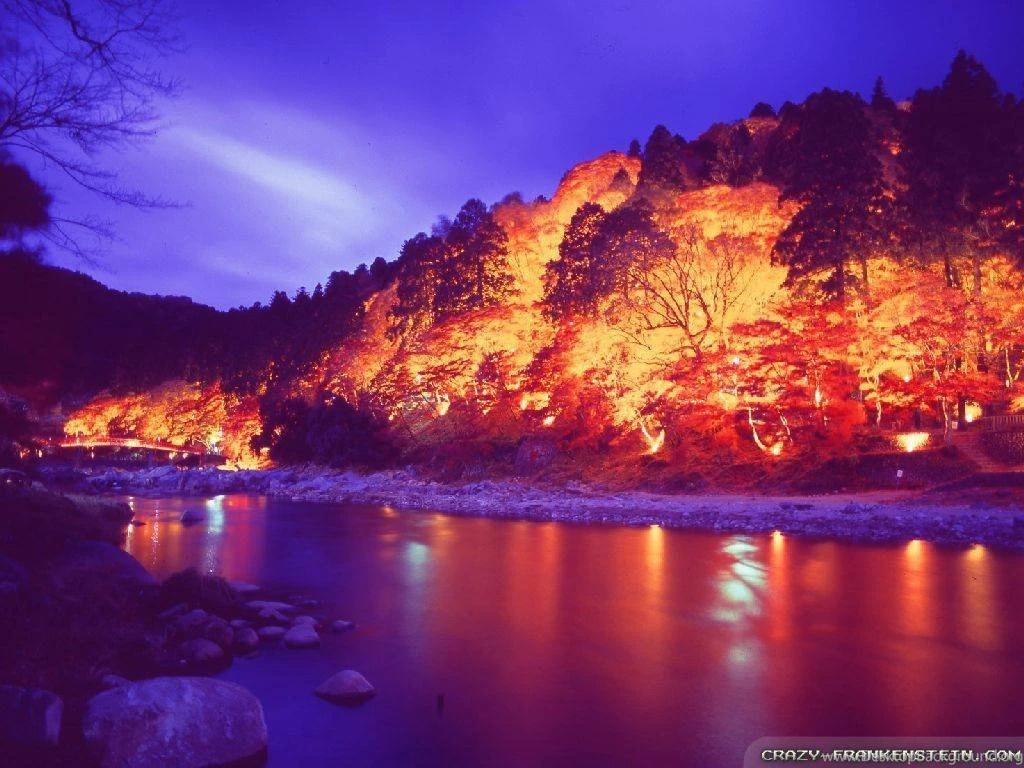 Lights in night autumn landscape Nature Picture