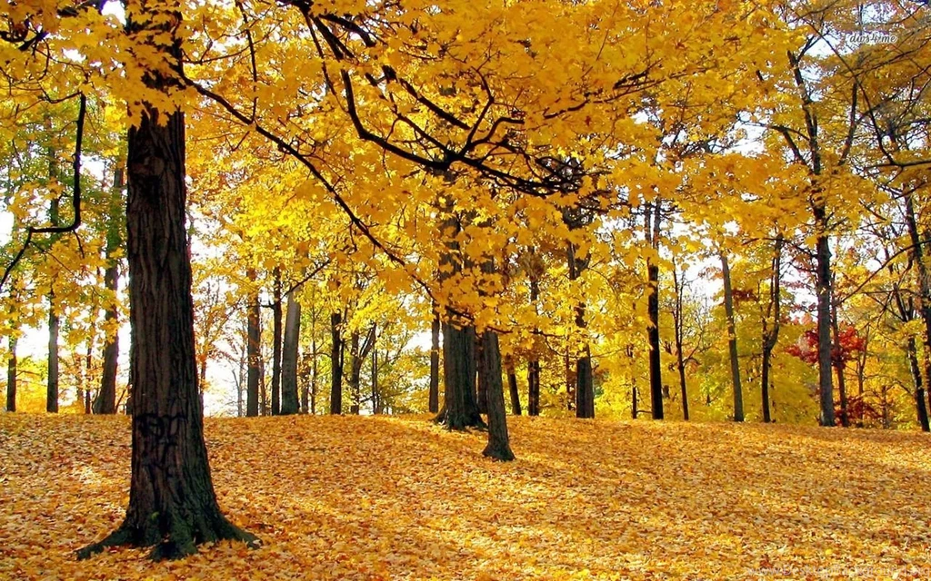 Autumn Landscape Wallpapers Nature Wallpapers