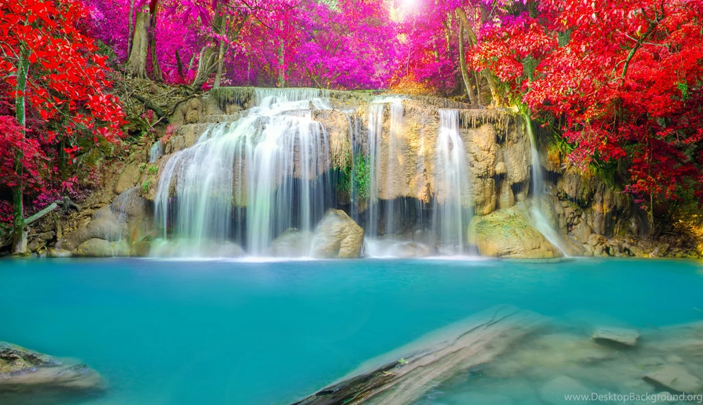 Landscapes Forests Falls National Oregon Waterfalls Proxy ...