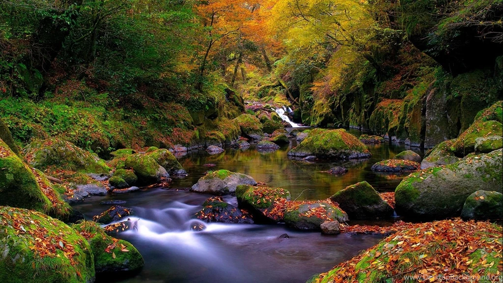 Forest Creek Autumn Mac Wallpapers Download