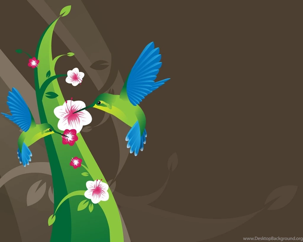 Humming Bird Computer Wallpapers, Desktop Backgrounds