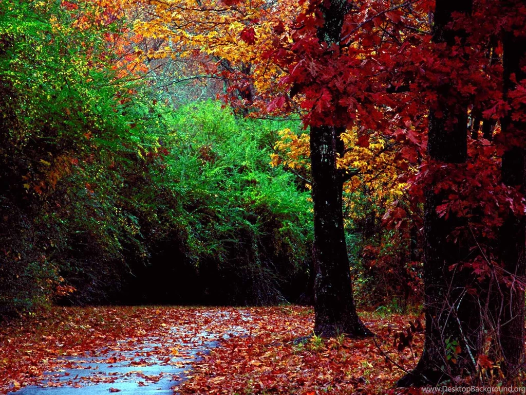 Nature Landscapes Desktop Wallpapers ~ Toptenpack.com