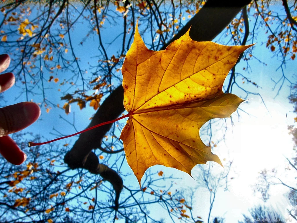 Autumn Time in Nature 016.jpg