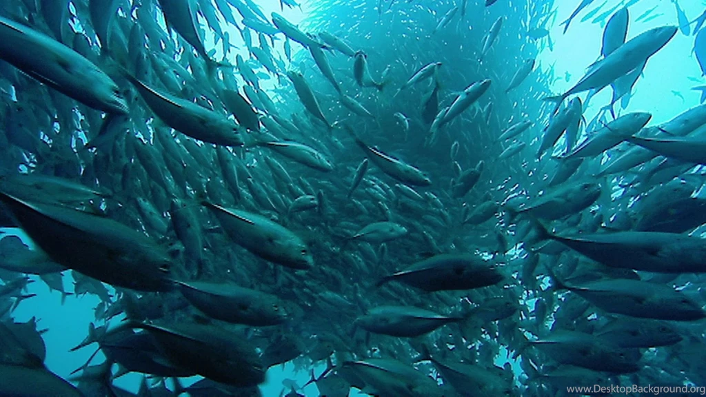 The Blue Planet Wallpapers