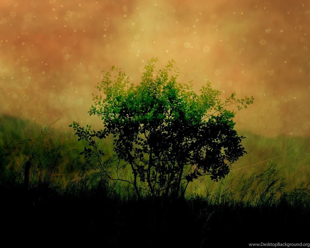 Free Mobile Downloads: HD WALLPAPER'S COLLECTION 3 DIRECT DOWNLOAD