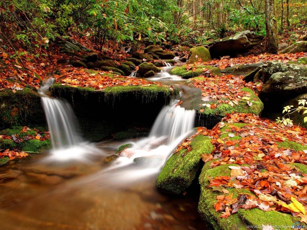 Nature Wallpapers For Desktop Wallpapers Cave