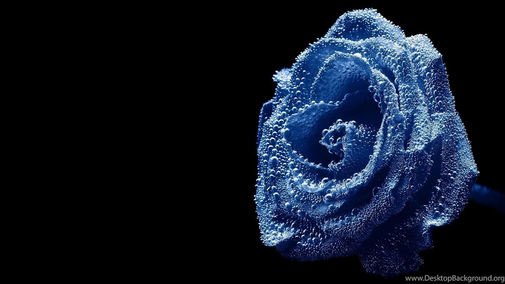 Trololo Blogg: Hd Wallpapers Water Drops