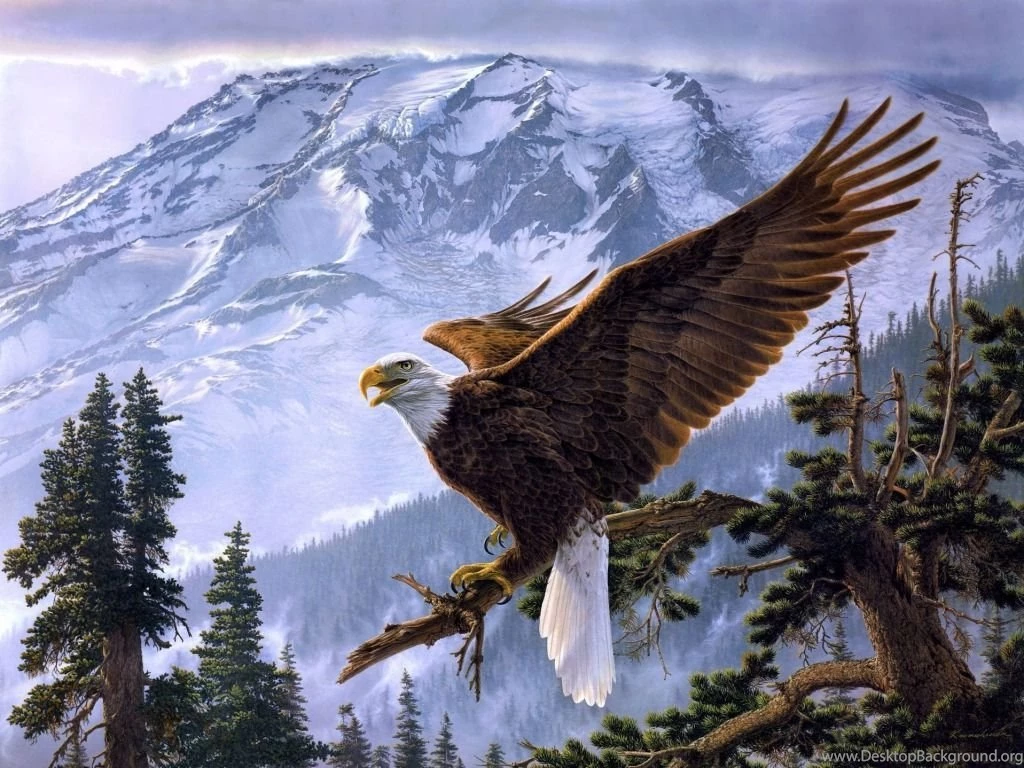 Amazing Wallpapers Of Eagle