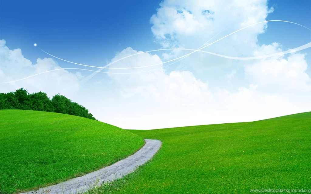Natural Scenery Wallpaper: Vast Lawn In Singapore