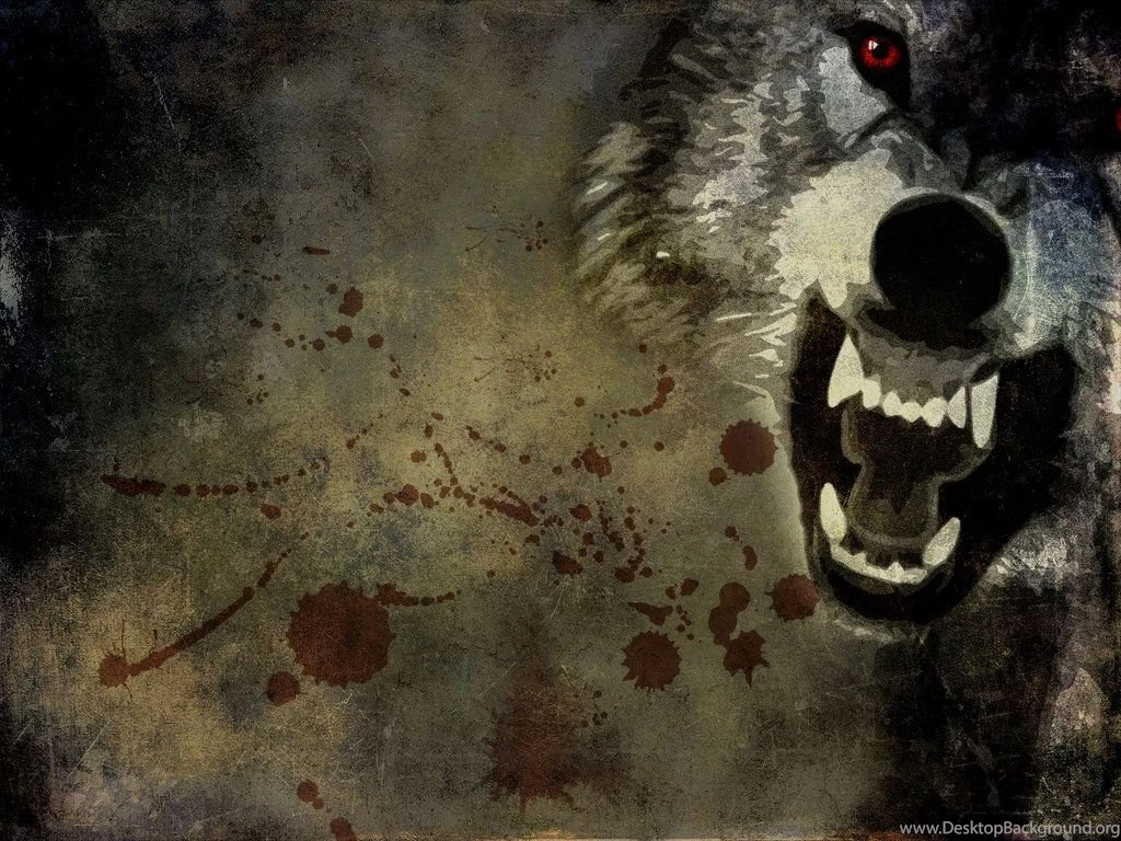 Wolf Wallpapers 1080p