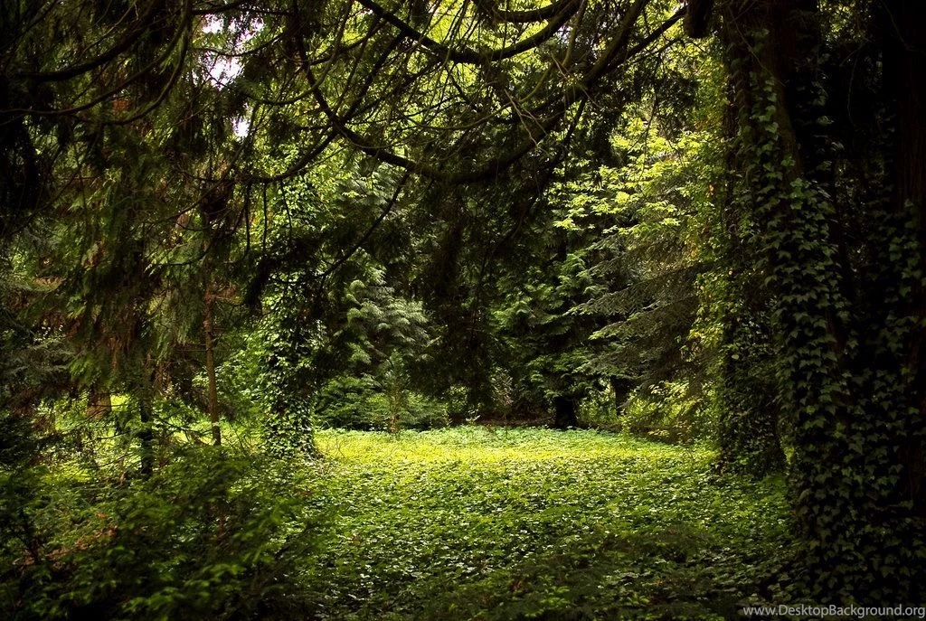 Nature Backgrounds 10 By Elanordh stock On DeviantArt