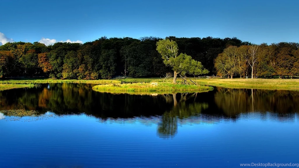 Wonderful top wallpaper 1080p.jpg